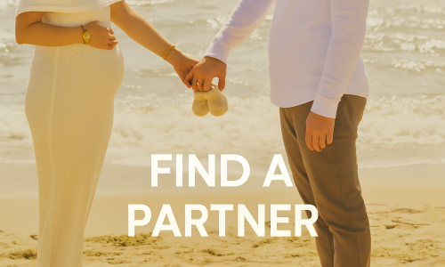 find a partner